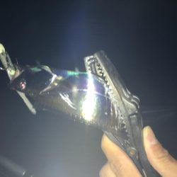 湾奥不調 からの貝塚好調(^O^)