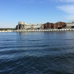 サゴシ！サゴシ！サゴシ！