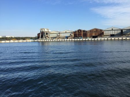 サゴシ！サゴシ！サゴシ！