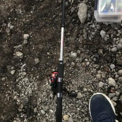 夕マヅメタチウオ