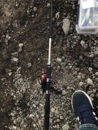 夕マヅメタチウオ