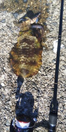 午後からちょこっとだけ