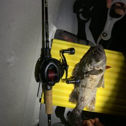 ハードロックフィッシュ