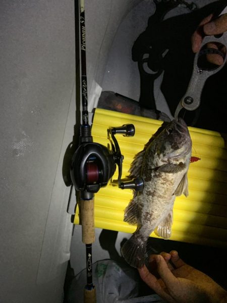 ハードロックフィッシュ