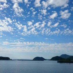 仁尾でサビキ釣り