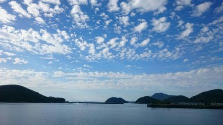 仁尾でサビキ釣り