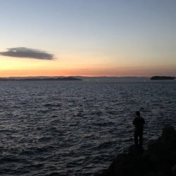 青物祭りをもとめて