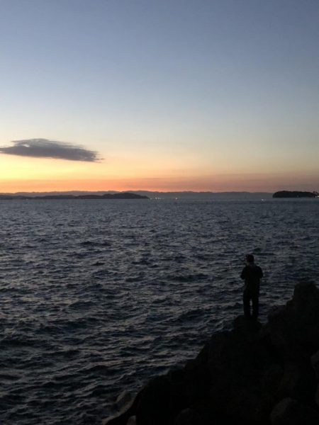 青物祭りをもとめて