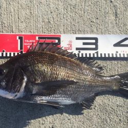 今週の釣果報告！１０月１３日（土）