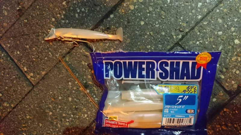 太刀魚良い感じ