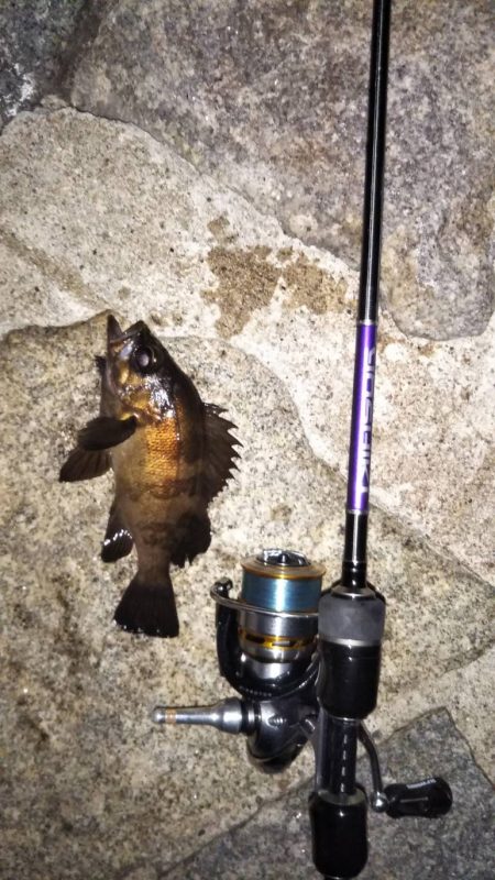 ぷらっとライトゲーム