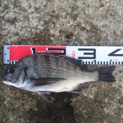 今週の釣果報告！10月20日（土）