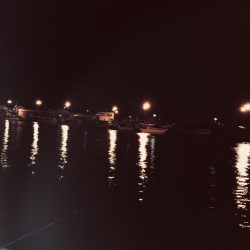 今年初めてアナゴ