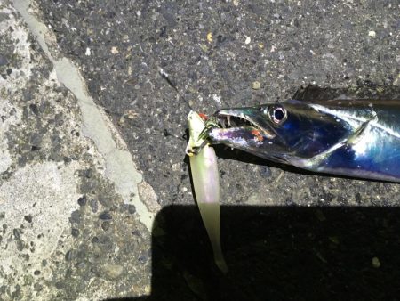 まだまだ行きます！