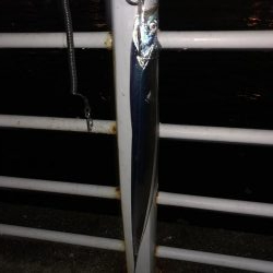 タチウオ ルアー