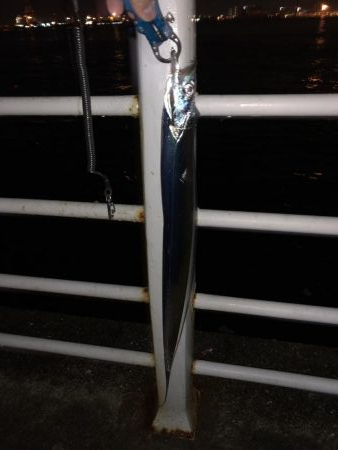 タチウオ ルアー