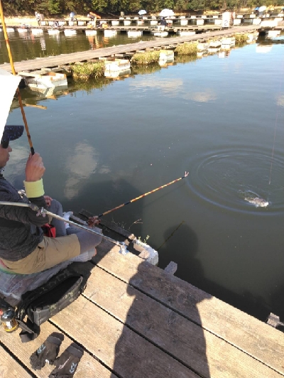 新松池管理釣り場