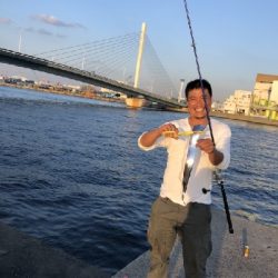 昨日の太刀魚調査