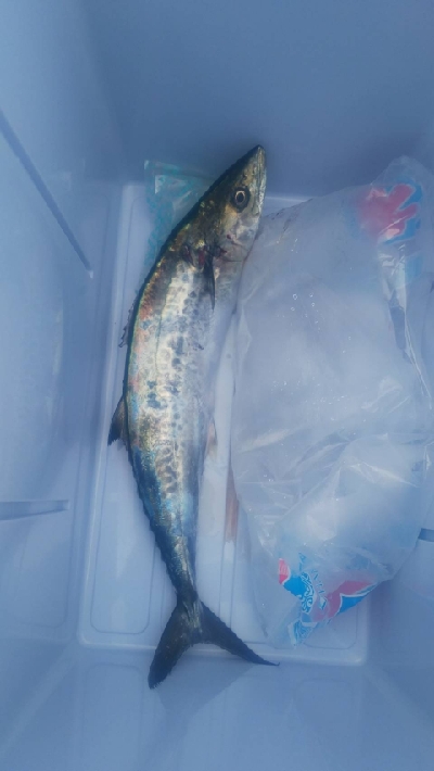 気合い無い方が。