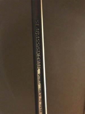 一年ぶりのフィッシング〜