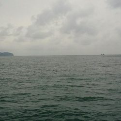 ばらしちゃいました(>_<)