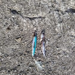 メタルジャッカー