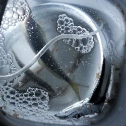 太刀魚ときどき鯵