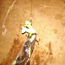 やっと秋が来た！