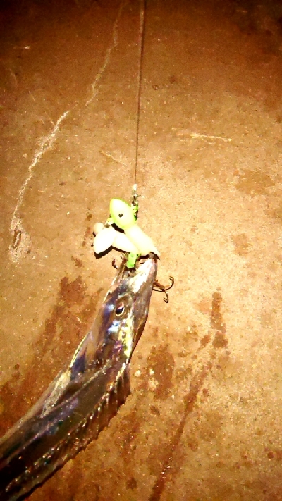 やっと秋が来た！