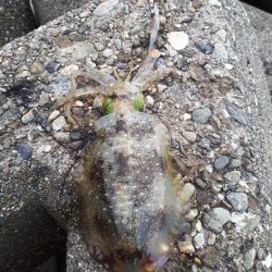 用事のついでに