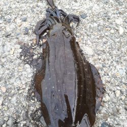 人の方が多いけど快釣