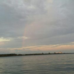 アタリはちょくちょくありました