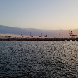 場所選び タナ選び。