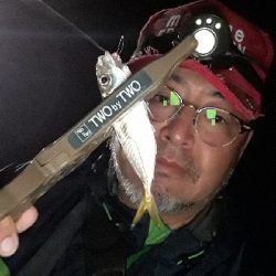 末っ子とナイトアジング