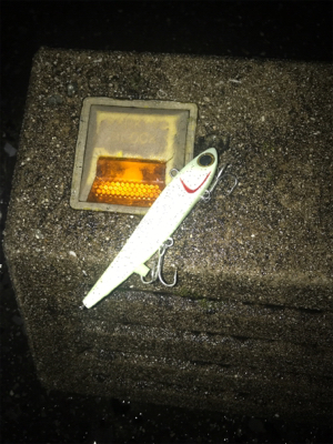 陸式アンチョビミサイルマン