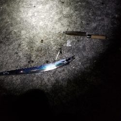 本日ルアー不調につき。