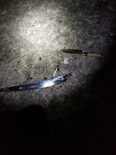 本日ルアー不調につき。