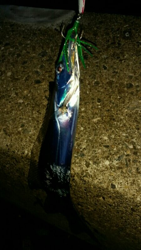 雨の止み間に大爆釣