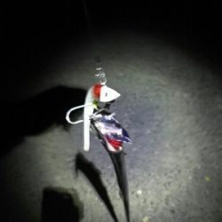 短期勝負はワインドで