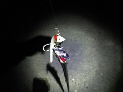 短期勝負はワインドで