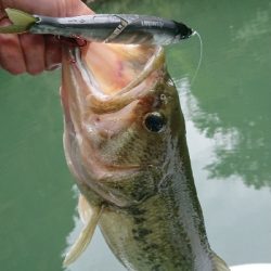 ランカーゲット