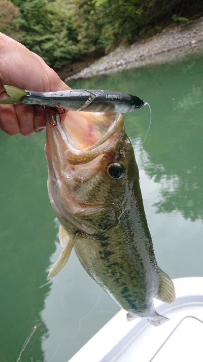 ランカーゲット