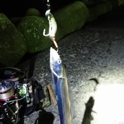 ちょこっと刀狩り