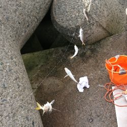 やっぱりあかん