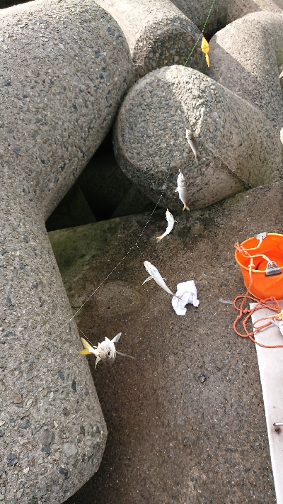 やっぱりあかん