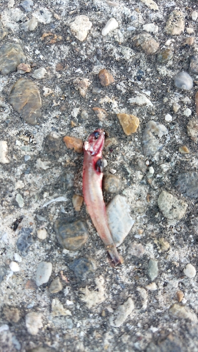 今年初で即延長戦