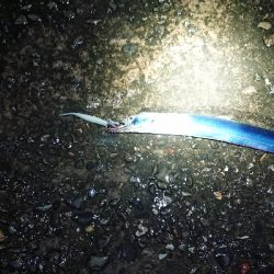 ツ抜けするまでにかえれま10