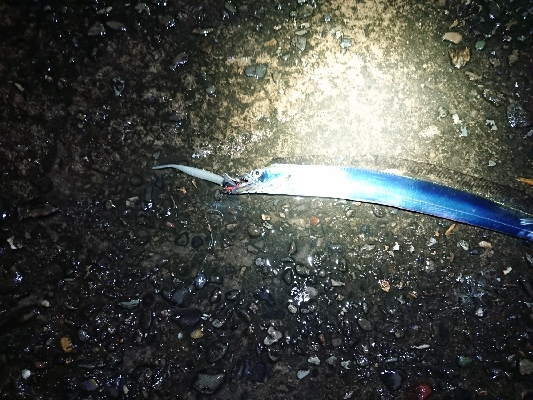 ツ抜けするまでにかえれま10