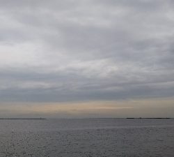 マズメは、安定！