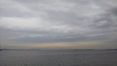 マズメは、安定！